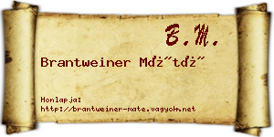 Brantweiner Máté névjegykártya